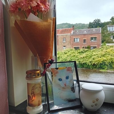 duchesse5