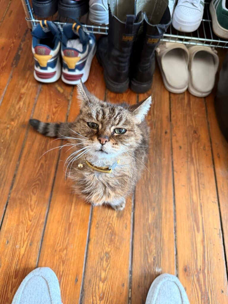 Vanina Marfo - Aaron