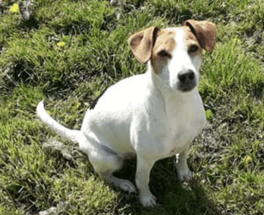 Nathalie Vandenkerckhove - Tina