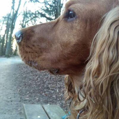 ruby
