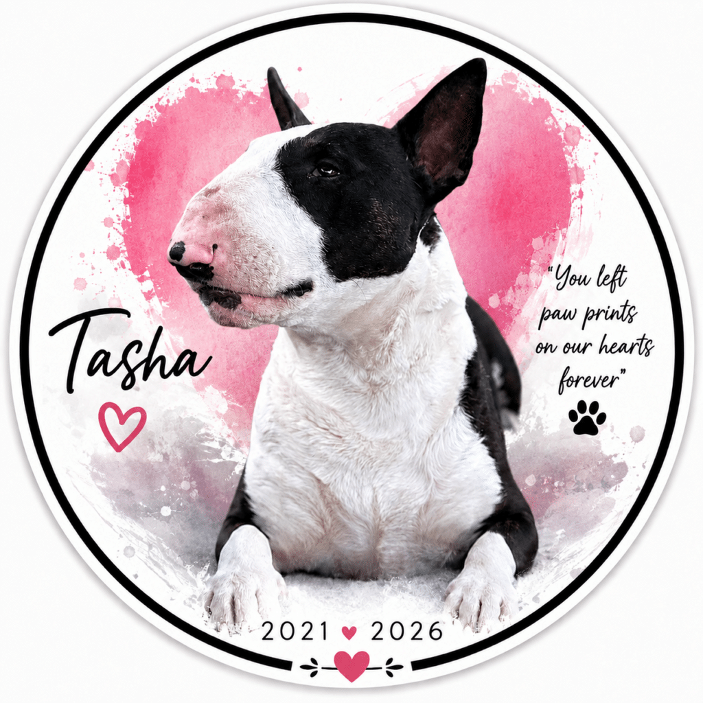 Fred Leduc - Tasha